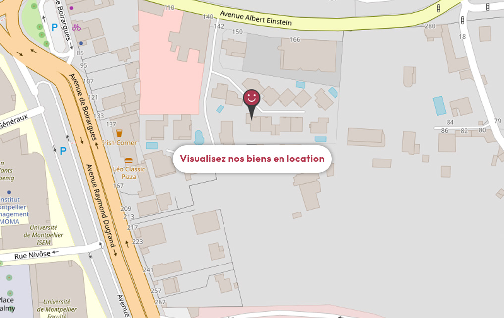 Carte des biens en location