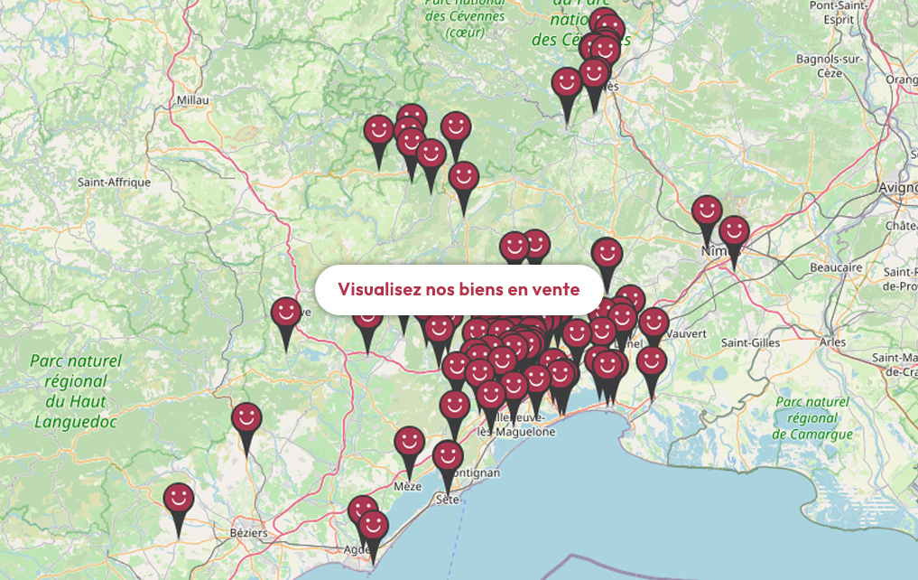 Carte des biens en vente